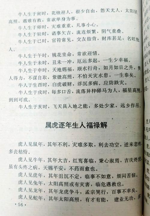 恕己及人打一生肖
