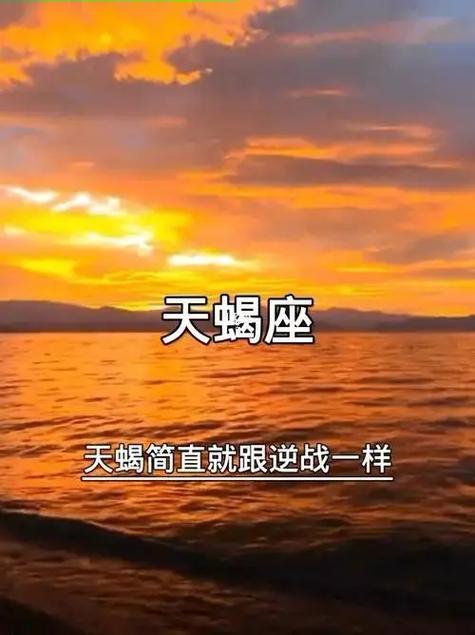 11月24日是什么星座