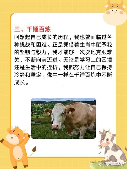 千锤百炼什么生肖