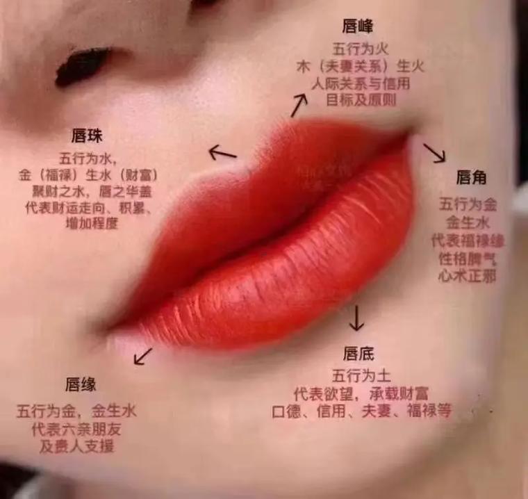 眉毛看相算命图解