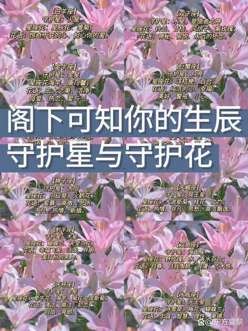 十二星座守护花