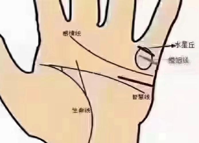 教你自己看手相